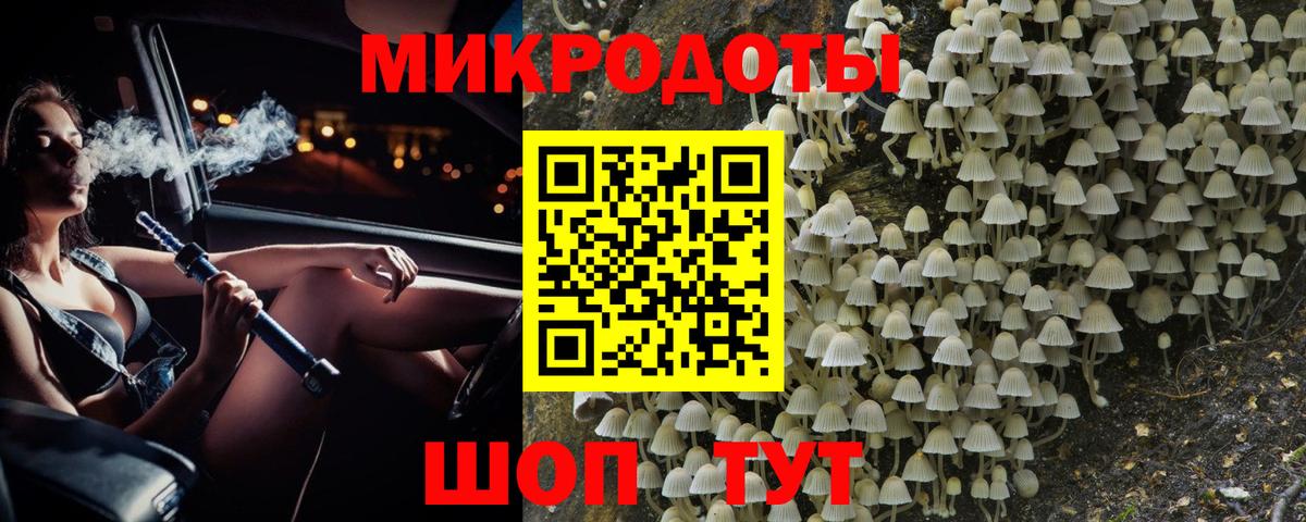 Псилоцибиновые грибы GOLDEN TEACHER Брянск